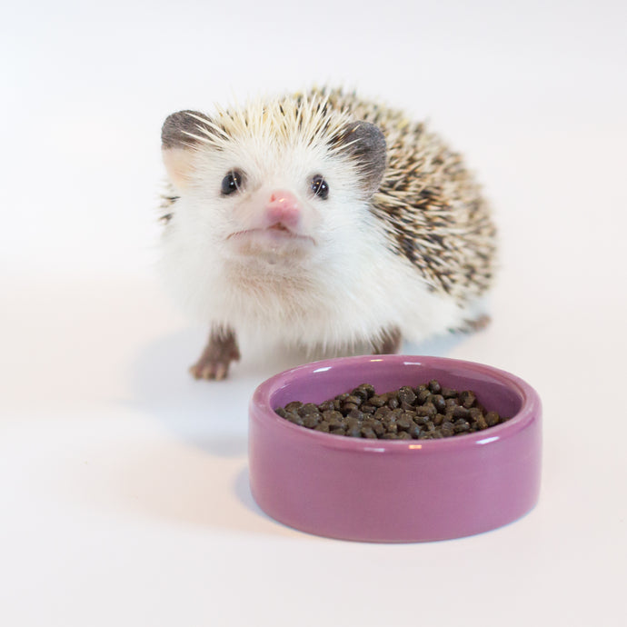 How are Hedgehog Precision diets processed?