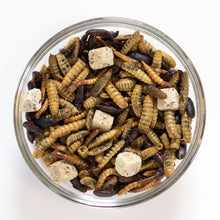 A top down view of Trail Mix Insect Blend in a dish