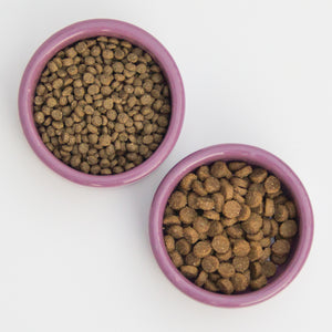 Hedgehog food with small kibble size next to cat food kibble