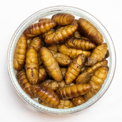 Dried Silkworm Pupae