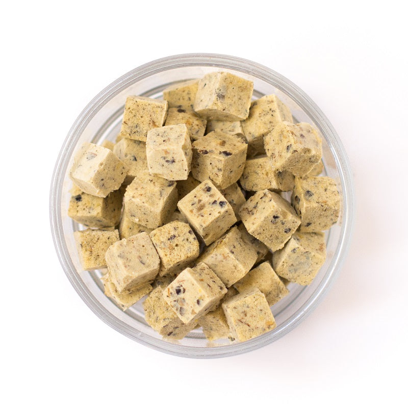 Top down view of a dish of Bug Block cubes