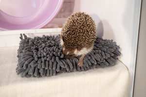 Rooting Rug - Hedgehog Snuffle Mat, Foraging Enrichment Toy