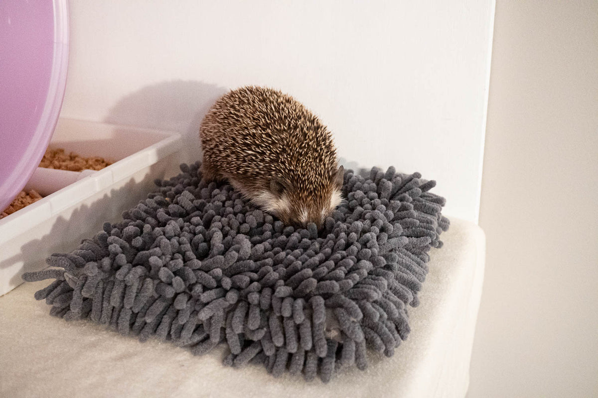Hedgehog Rug Rooting Rug - Hedgehog Snuffle Mat, Foraging Enrichment Toy – Hedgehog ...