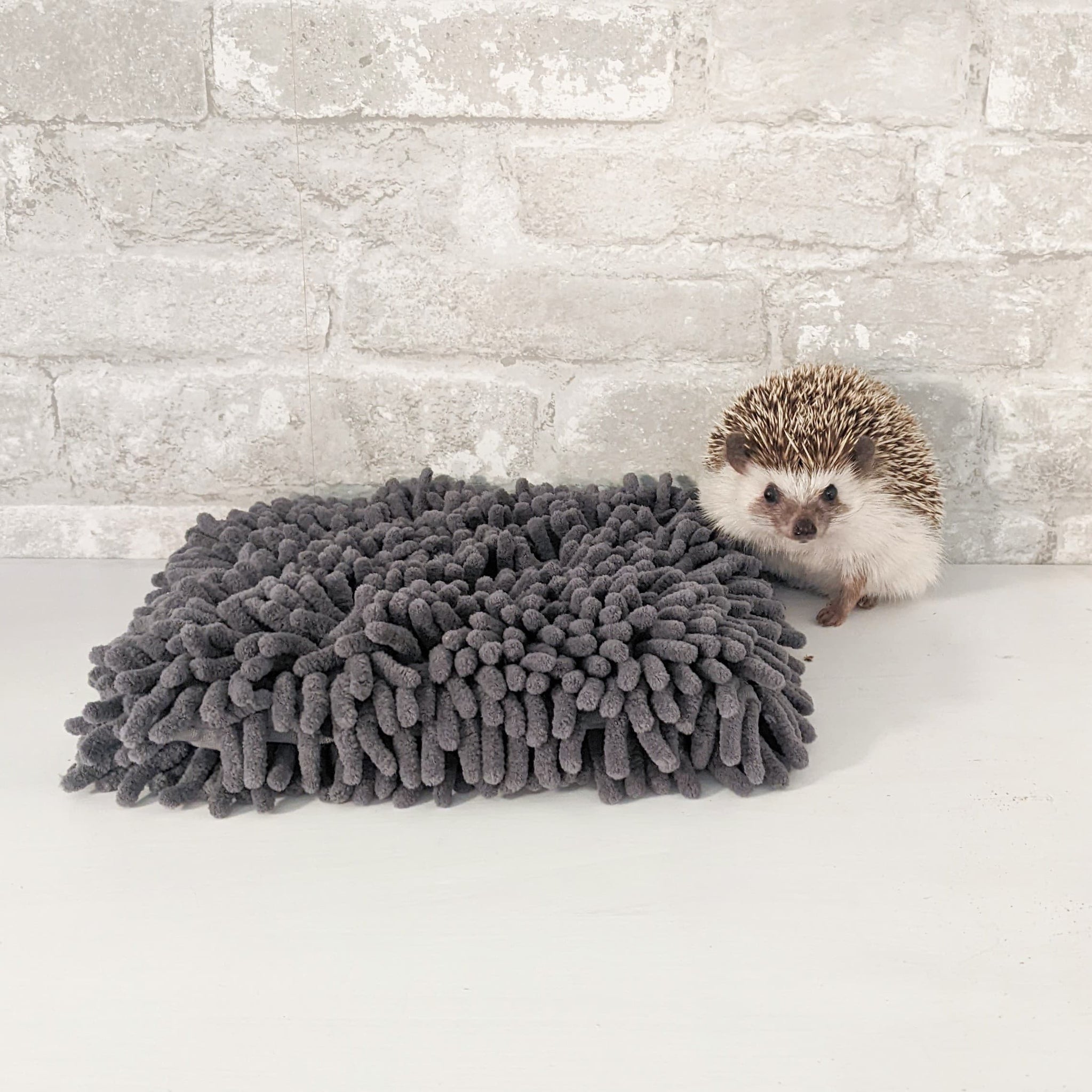 Rooting Rug - Hedgehog Snuffle Mat, Foraging Enrichment Toy – Hedgehog ...